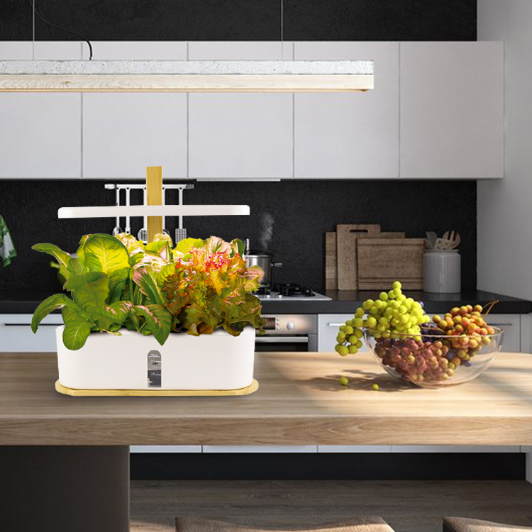 HOMEJOY Мини Крытый гидропонный сад дом теплица