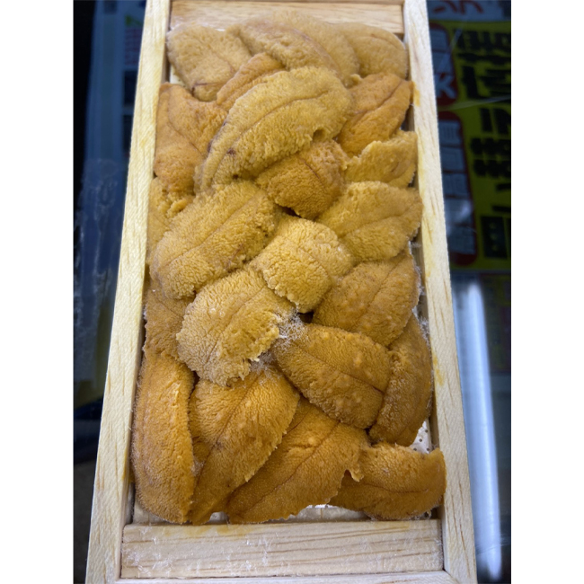 Frozen or refrigerated sea urchin quality seafood from Japan
