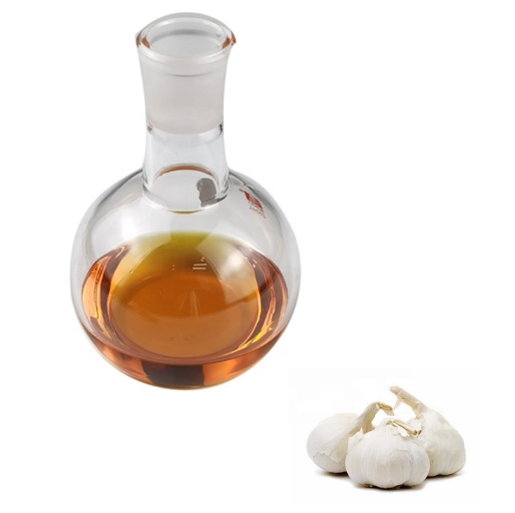Organic Pure Certified Garlic Oil in Bulk