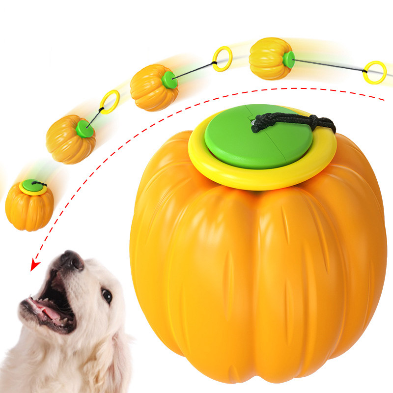 Wholesale Amazon hot dog training molar bite-resistant ball pumpkin hand throw dog toy ball