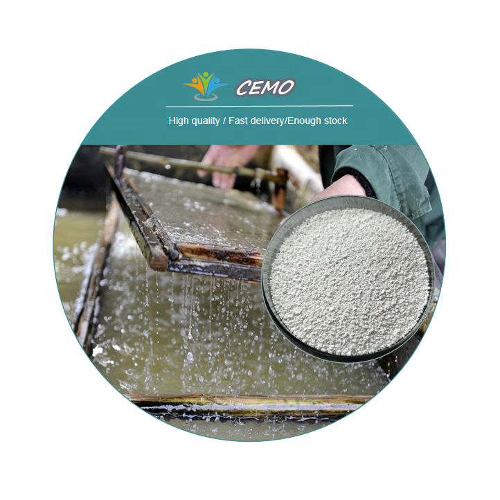 CAS 7778-54-3 Calcium hypochlorite for water treatment