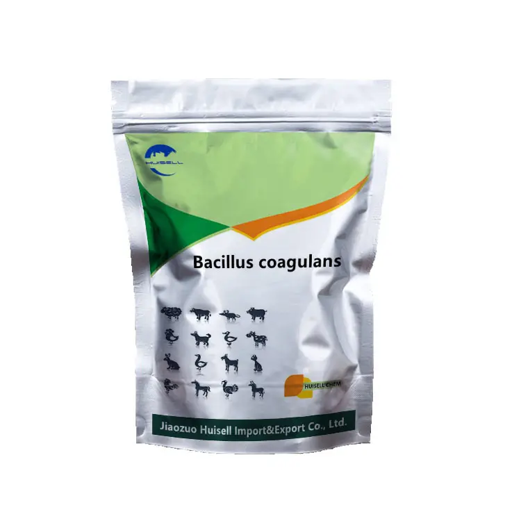 Bacillus coagulans for poultry feed additive in china