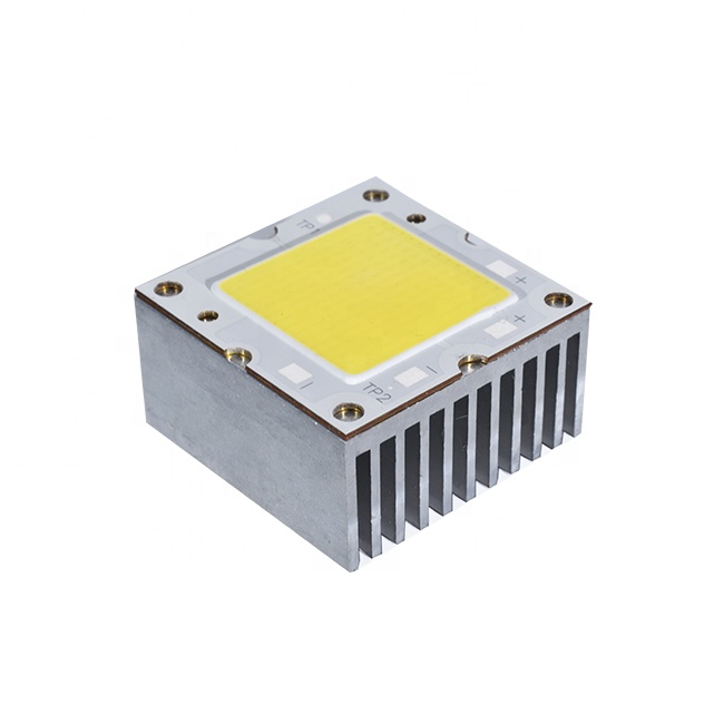 Customized industry hot selling 100w custom watt led chip high brightness cob chip for video light