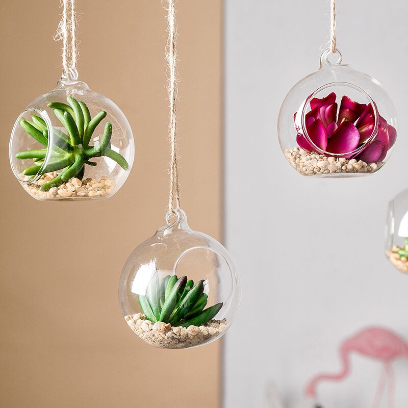 Home Decor Hanging Globe Shape Air Plant Glass Terrarium Glass Hanging Planter Glass Plant Terrarium for Air Plant