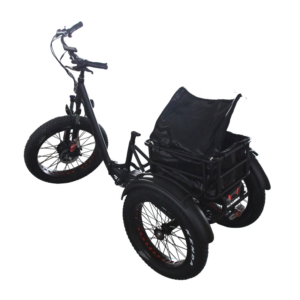 Electric auto rickshaw pedicab tuk tuk for sale