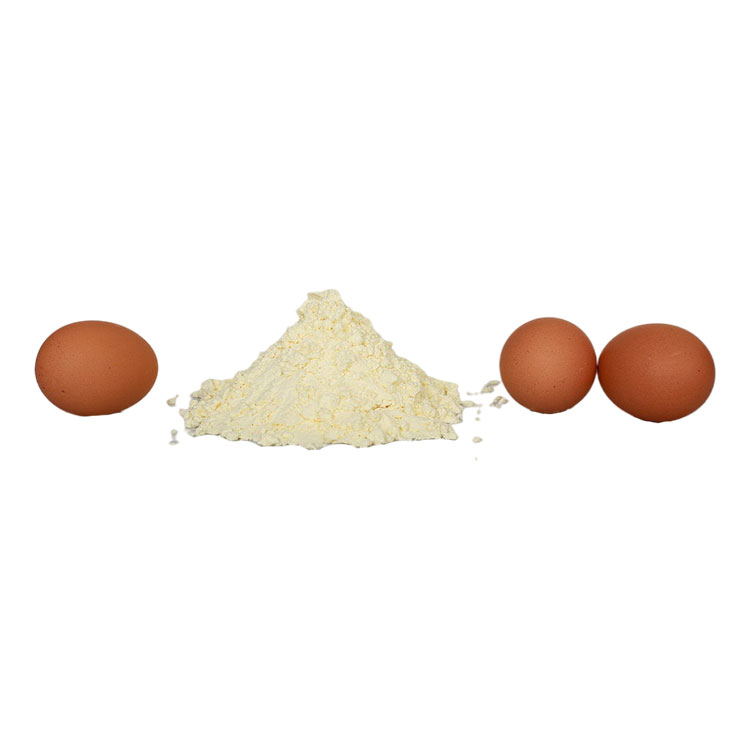 High quality 100% natural egg white powder from China