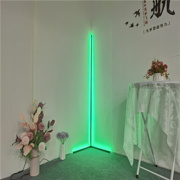 Western minimalist style RGB Colorful with remote control DC12v nordic minimalist led floor lamps standing corner light