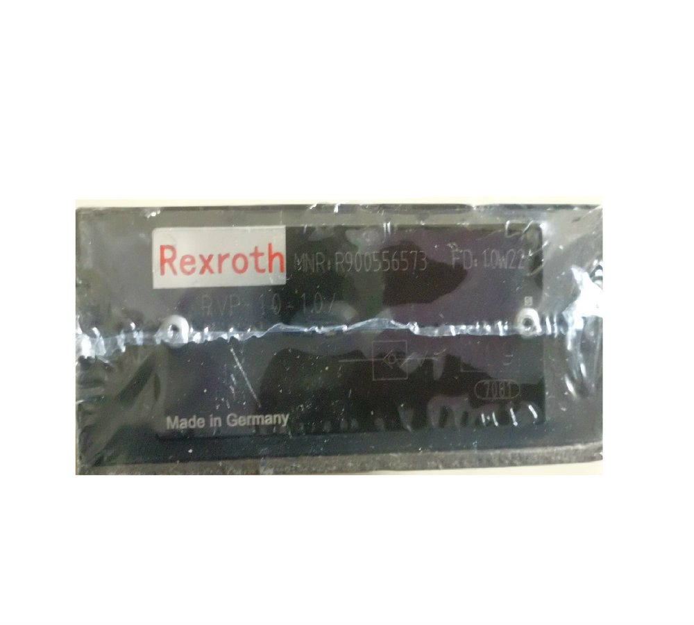 Check valve RVP