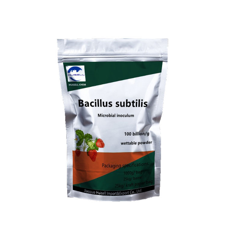 Additive Bacillus Subtilis for aquaculture