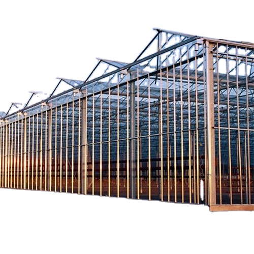 outdoor multi Span high glass plant agriculture green house photovoltatic solar greenhouse kit for vegetable