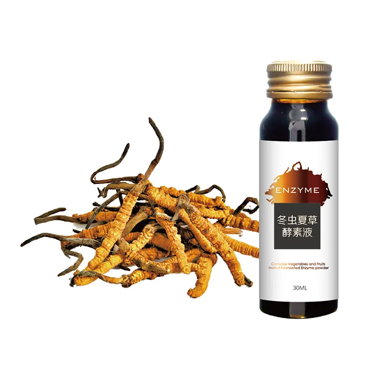 2020 Natural Cordyceps Extract Can Enhance Immune System Enzyme Anti-aging Oral Solution