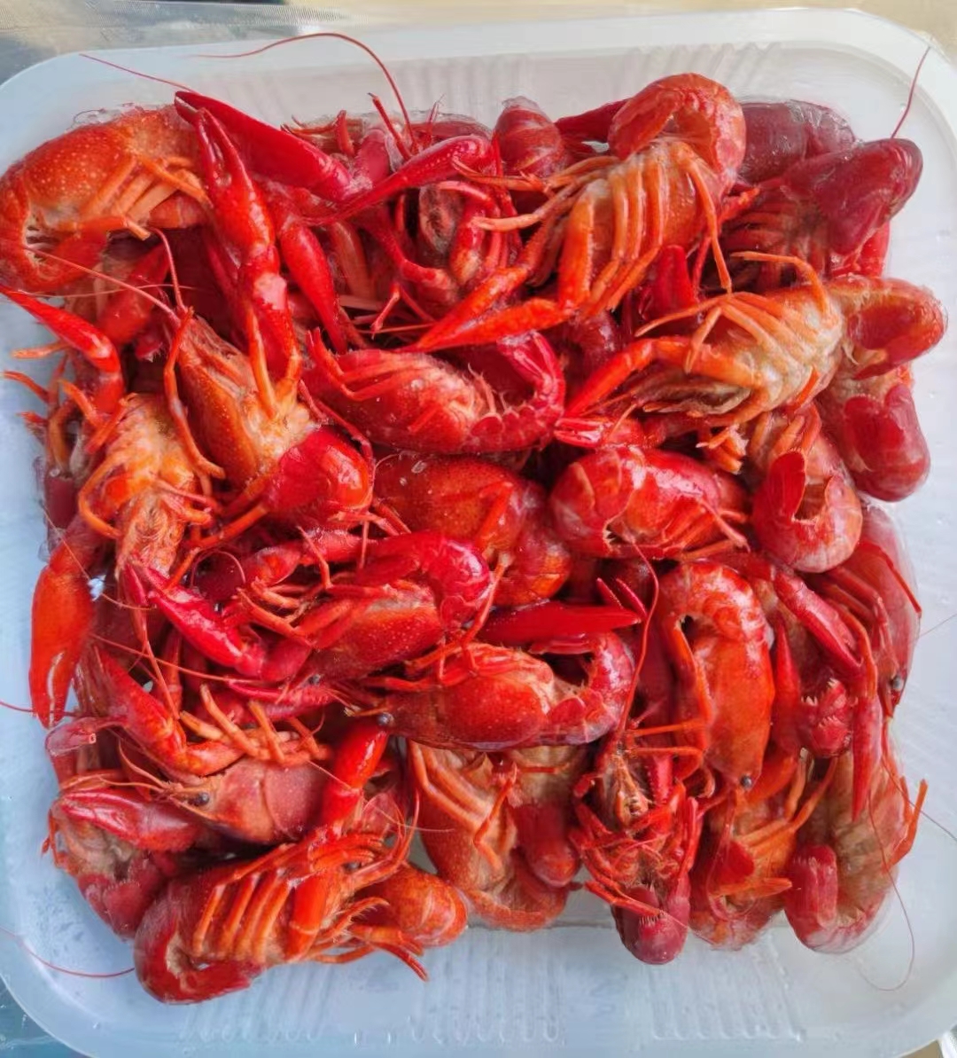 Chinese Bestseller WholeSale New Season Seafood Frozen Crawfish and Lobsters