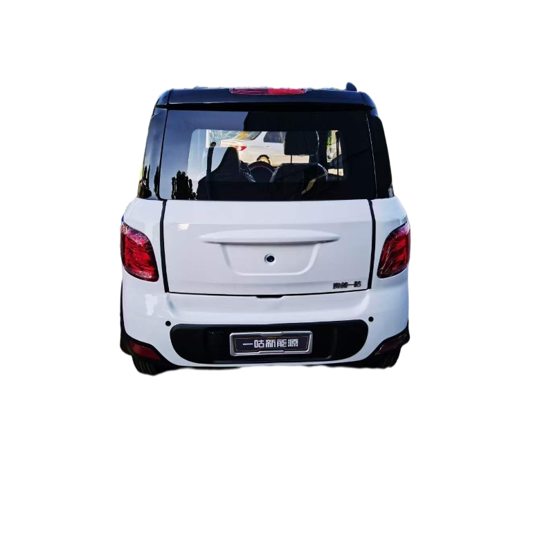 Big Space High Power 4 Passengers 60v58ah Lead Acid Battery 3000w Electric Car