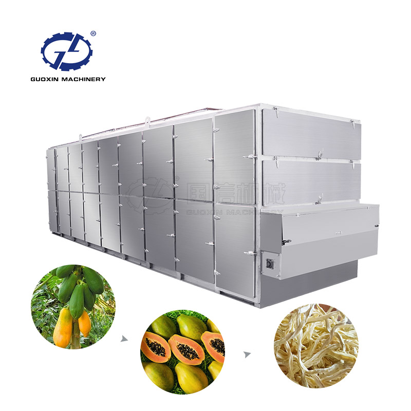 Guoxin hot air mesh belt clove dryer tomato/mango/fruit drying machine