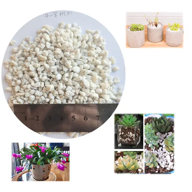Perlite Expanded For Horticulture