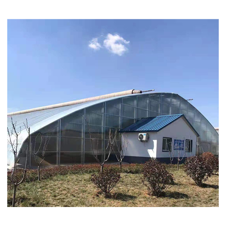 Недорогая теплица для овощей с зеленым каркасом, 8x30 м