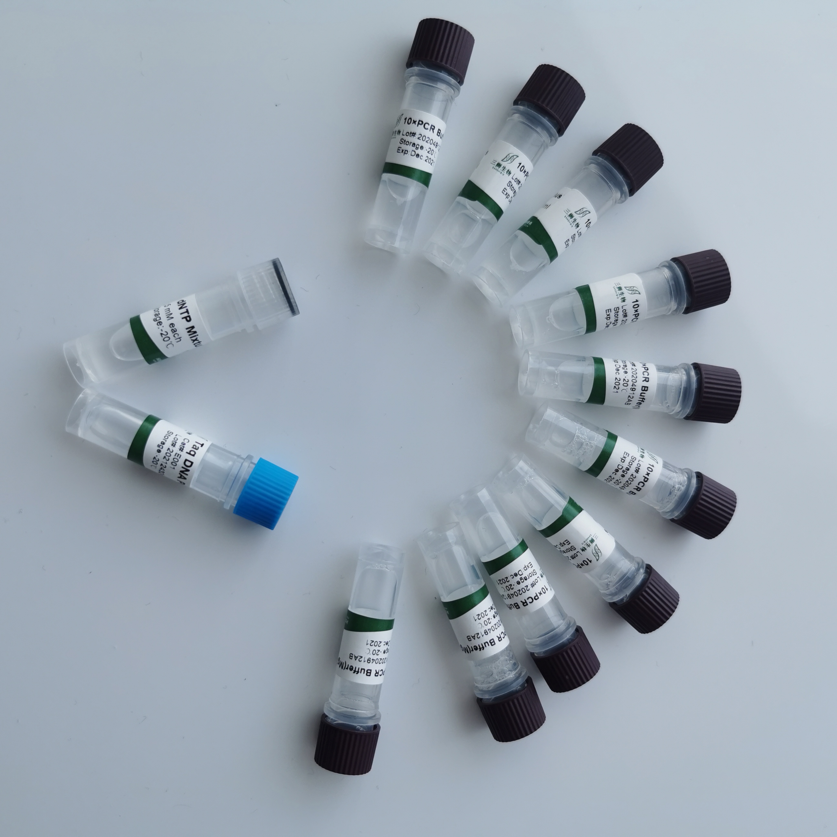 Best seller Taq DNA Polymerase