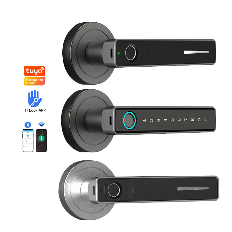 Заводская оптовая продажа, электронный замок с отпечатком пальца, Ttlock, дверной замок для умного дома, биометрический замок с отпечатком пальца для деревянной двери
