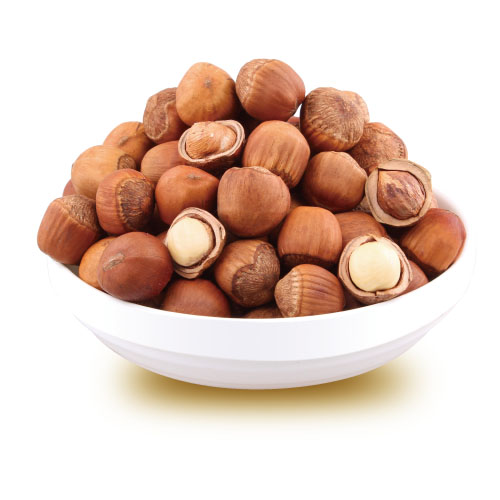 Hazelnut Roasted Organic Orginal Turkish High Quality Premium Selected Turkish Hazelnut Natural Hazelnut %100 Roasted