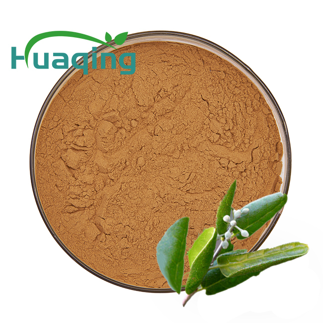Factory Supply Pure Natural Peumus Boldus Extract Boldo Leaf Extract