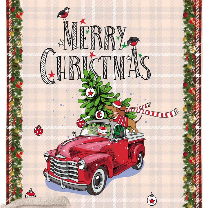 New Digital Printed Christmas Blanket Double-layer Thickened Flannel Sherpa Throw Blanket