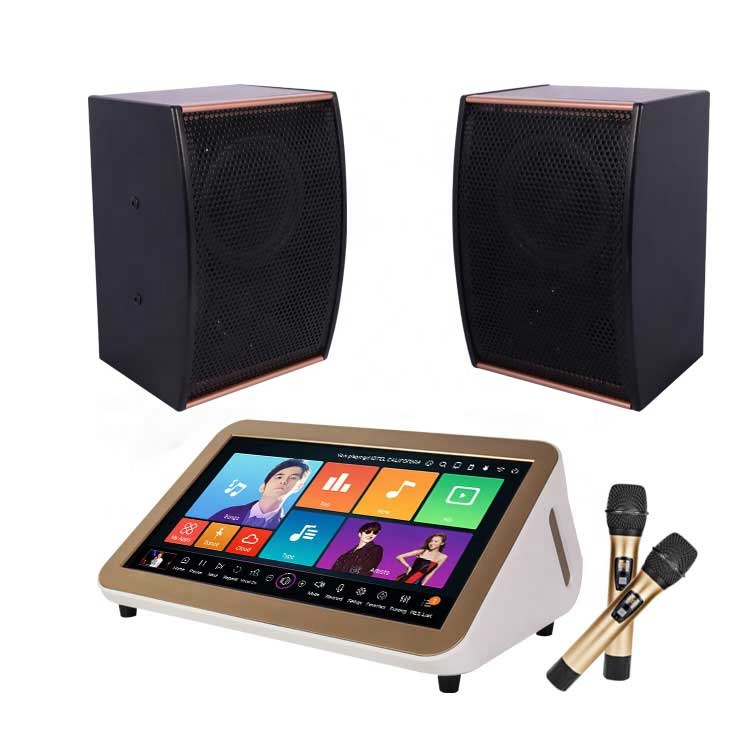 karaoke machine player system singing songs speaker amplifier wireless microphone