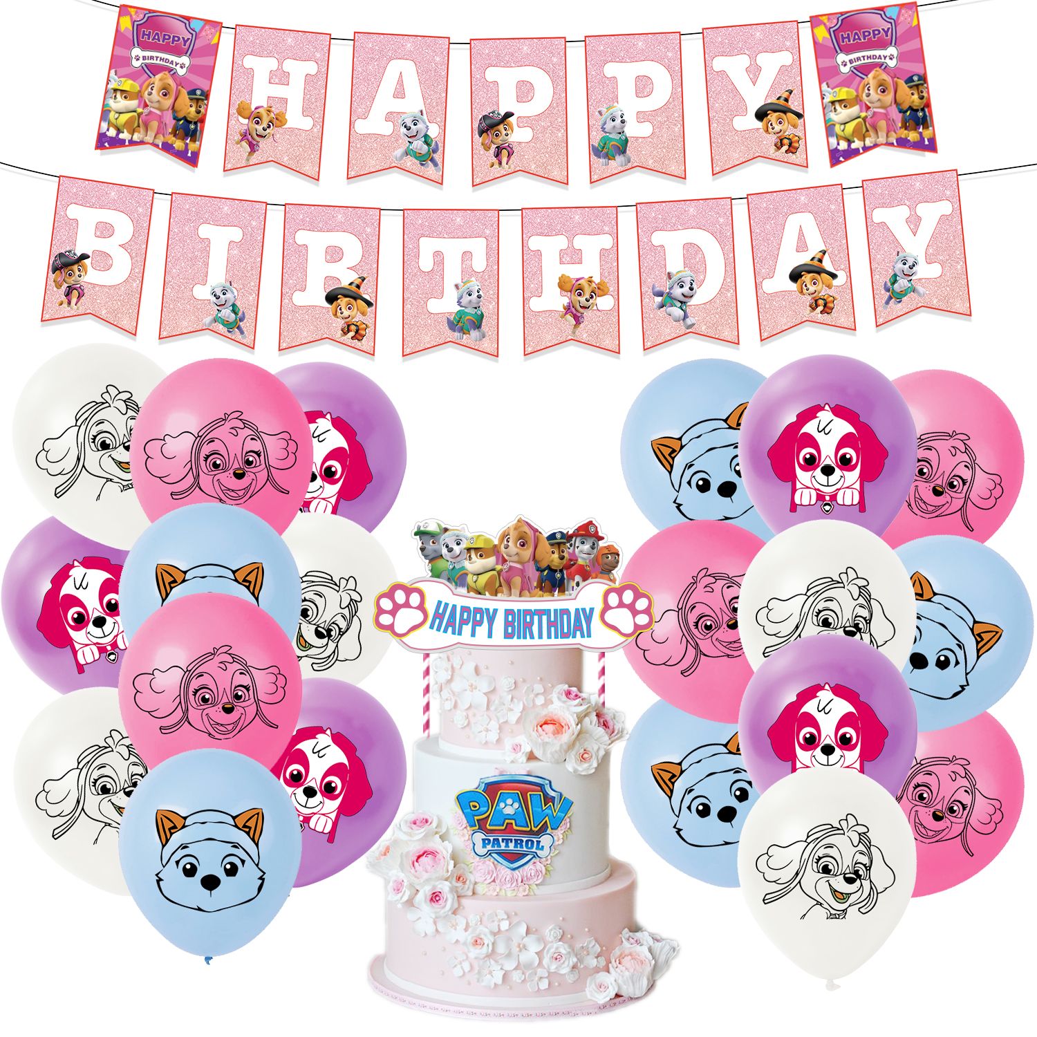 Skye Paw Birthday Patrol Party Supplies Skye Girls set Includes cake Toppers Balloons Birthday Banner