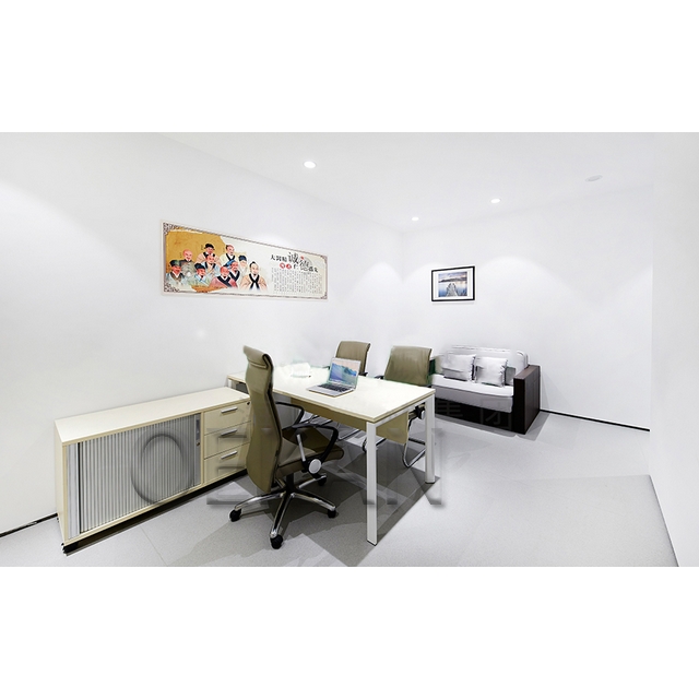 Hospital Furniture Senior Chief Office Table and Chair with Sofa