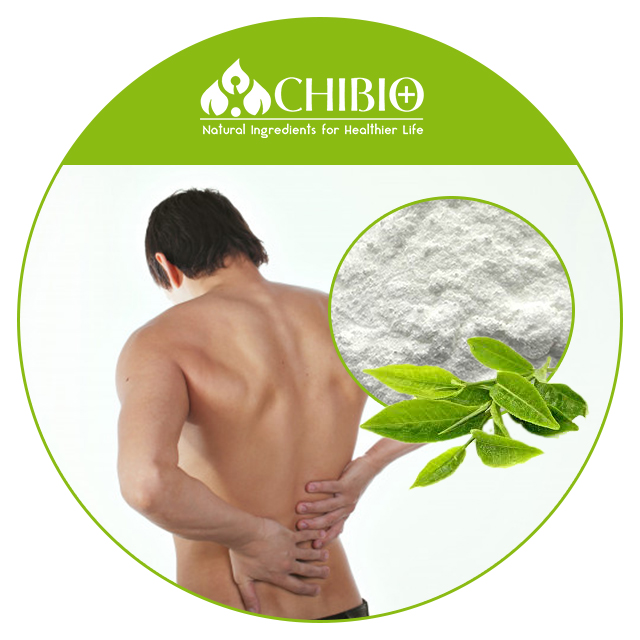 Натуральный экстракт чая Kucha 40%,60% пищевой кристаллический порошок теакрина для противовоспалительного анальгетика