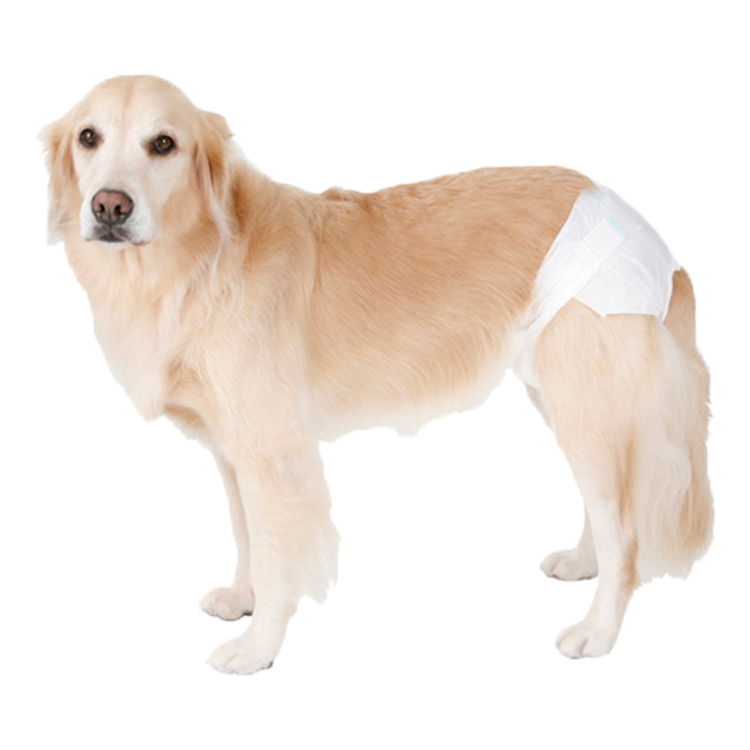 Cheap Cute Leak Proof Dog Diaper Organic Charcoal Disposable, Floor Menstrual Diaper For Pet Dog Puppy Cat