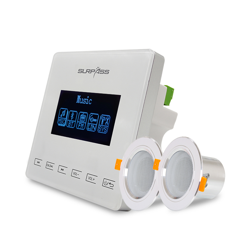 Surpass Audio Mini Stereo Blue Tooth In Wall Amplifiers Smart Home Cinema With 8Ohm 10W Bathroom Moisture-proof Aluminum