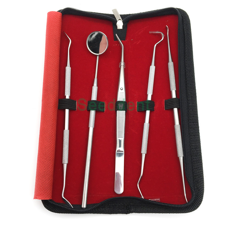 Dental Instruments Surgical Cleaning Teeth Oral Tools Dental Hygiene Kit / Dental Instrument Scaler Kit