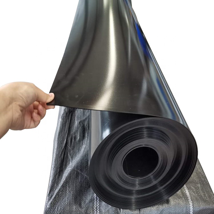 Свариваемый HDPE LDPE LLDPE пвх EVA геомембрана для сельского хозяйства
