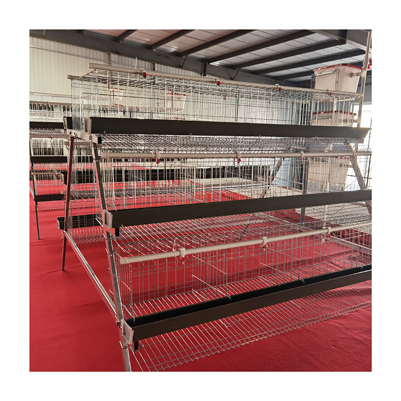 Best Price Chicken Layer Cage Poultry Cage For Sale