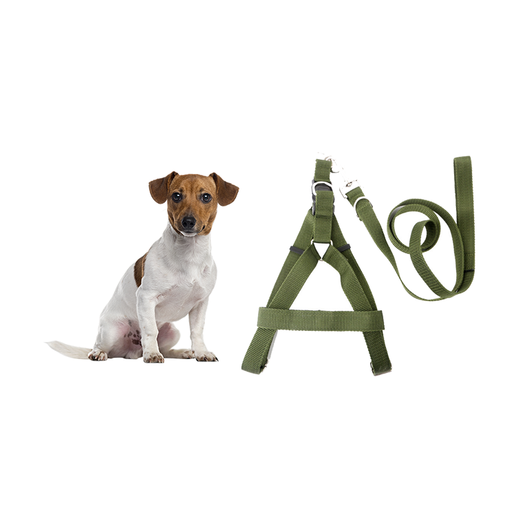 Customized Soft Triangle Pet Vest Adjustable Reversible Designer Solid Color Dog Harness Leash Collar Set