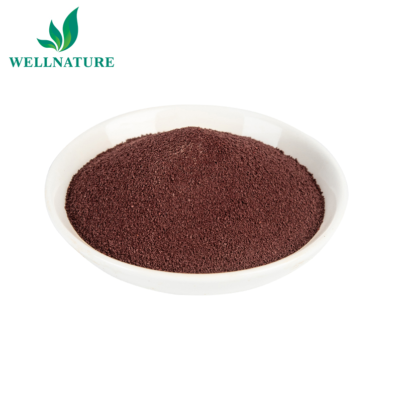 Natural Pigment Feed Grade Pure Astaxanthin Powder 10%Water Soluble Astaxanthin For Salmon Trout