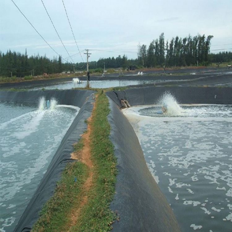 Геомембрана HDPE для бассейна, брезента для рыбной фермы, прудов и озер
