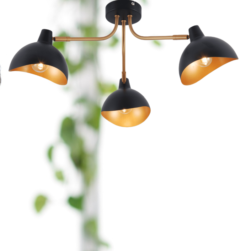 ceiling light