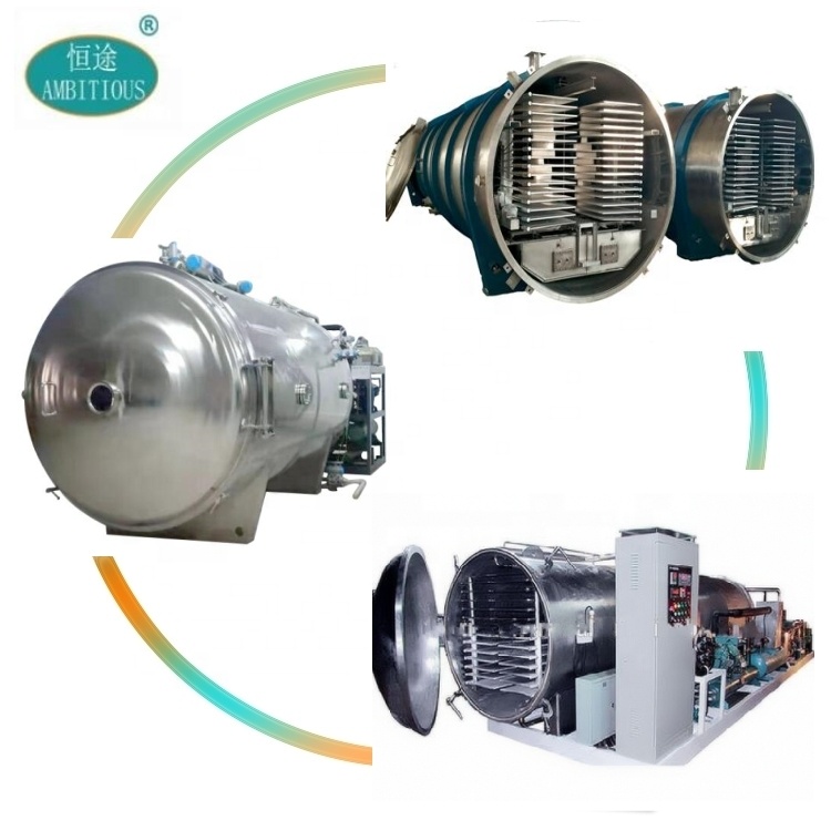 PLC Controlled 20m2 Industrial Use Dried Vegetables Vacuum Freeze Drying Machine Manufacture Price PLC + Touch Screen ISO CE TUV