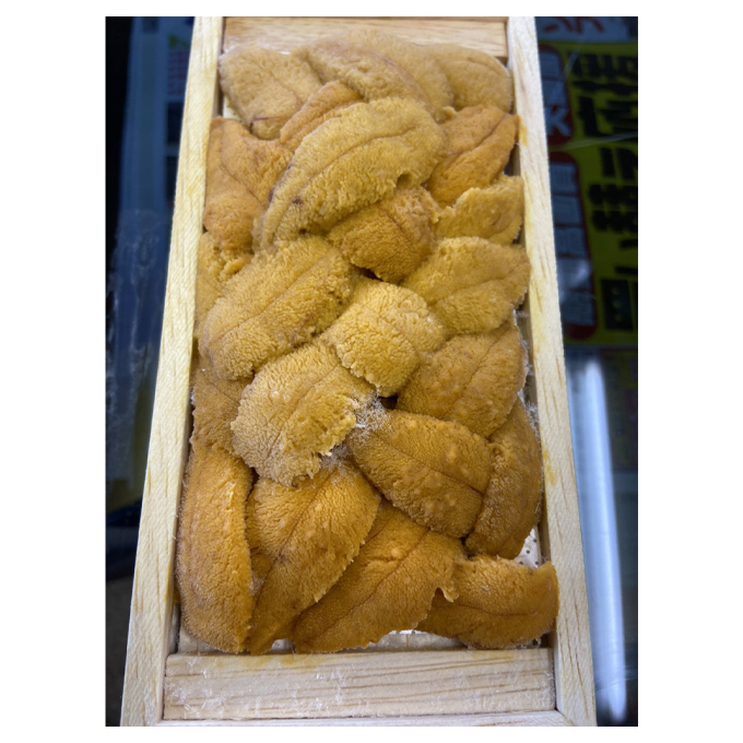 Japan frozen or refrigerated quality seafood price of sea urchin
