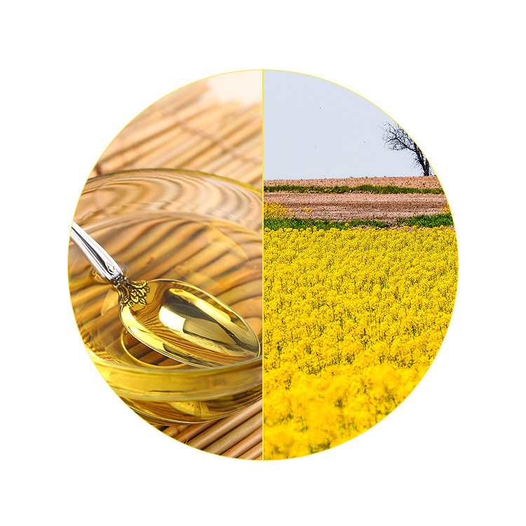 NON-GMO рапсовое масло Рафинированное пищевое масло для домашнего использования рапсовое масло предварительно окрашенная оцинкованная сталь) с низкой ценой 16L