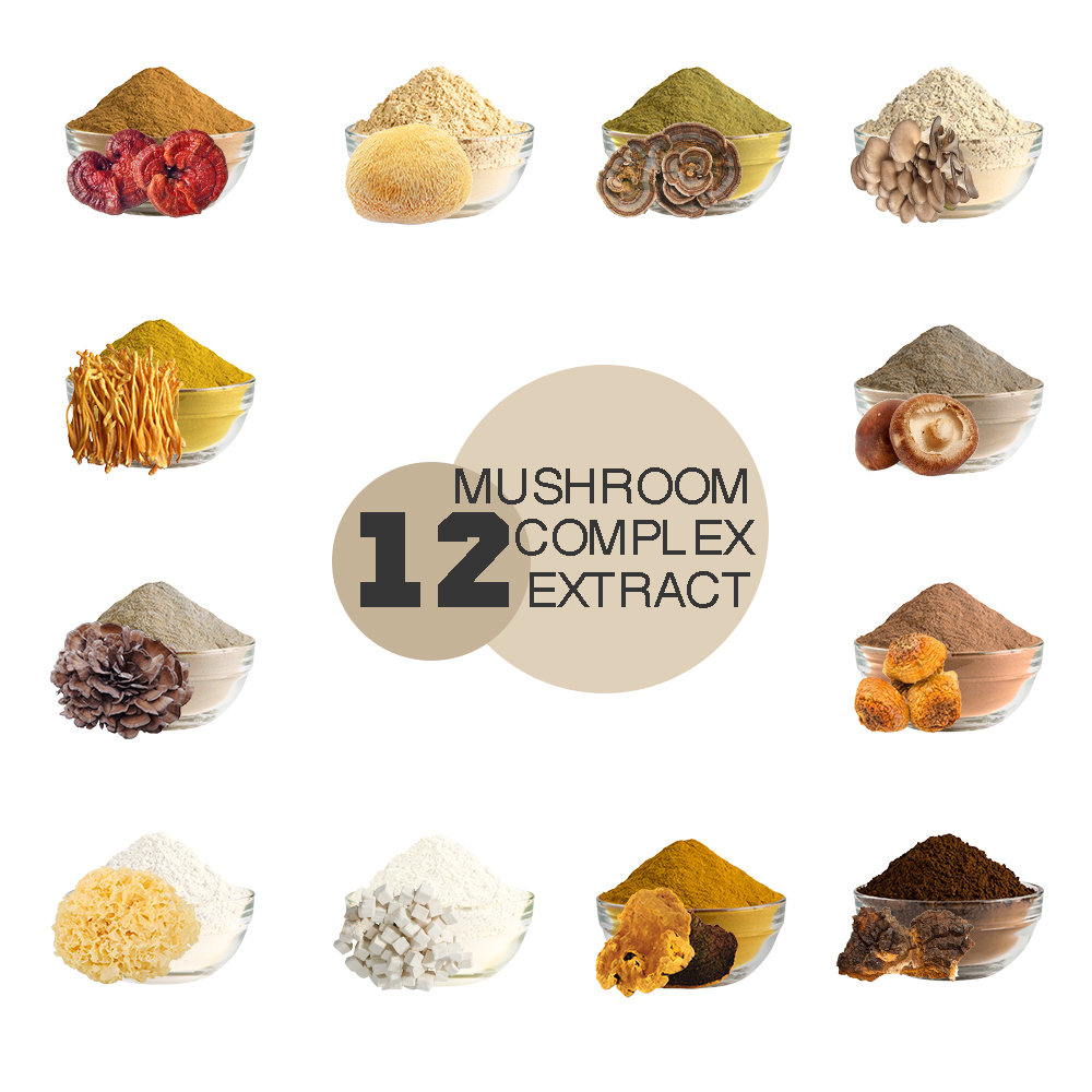 Органическое вещество Ganoderma lucidum Reishi Львиная Грива Chaga Cordyceps индейка шиитаке хвост 12 в 1 порошок экстракта грибов