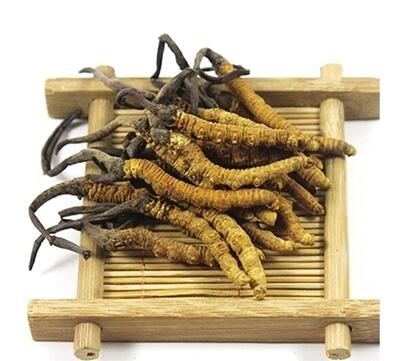 Supply Pure Bulk Price Cordyceps Militaris Extract Powder 1%- 98% Cordycepin