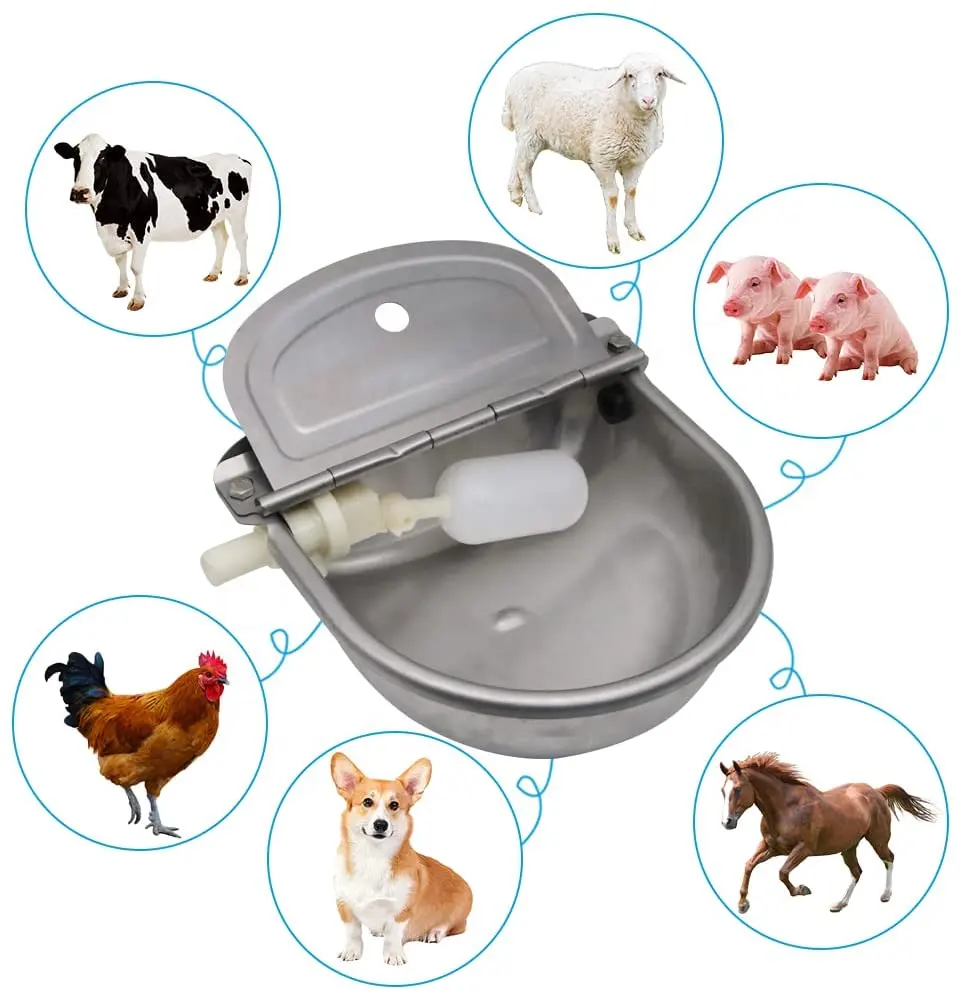 Cattle Drinking Water Bowl Stainless Steel Automatic Float Cow Drinking Water Bowls