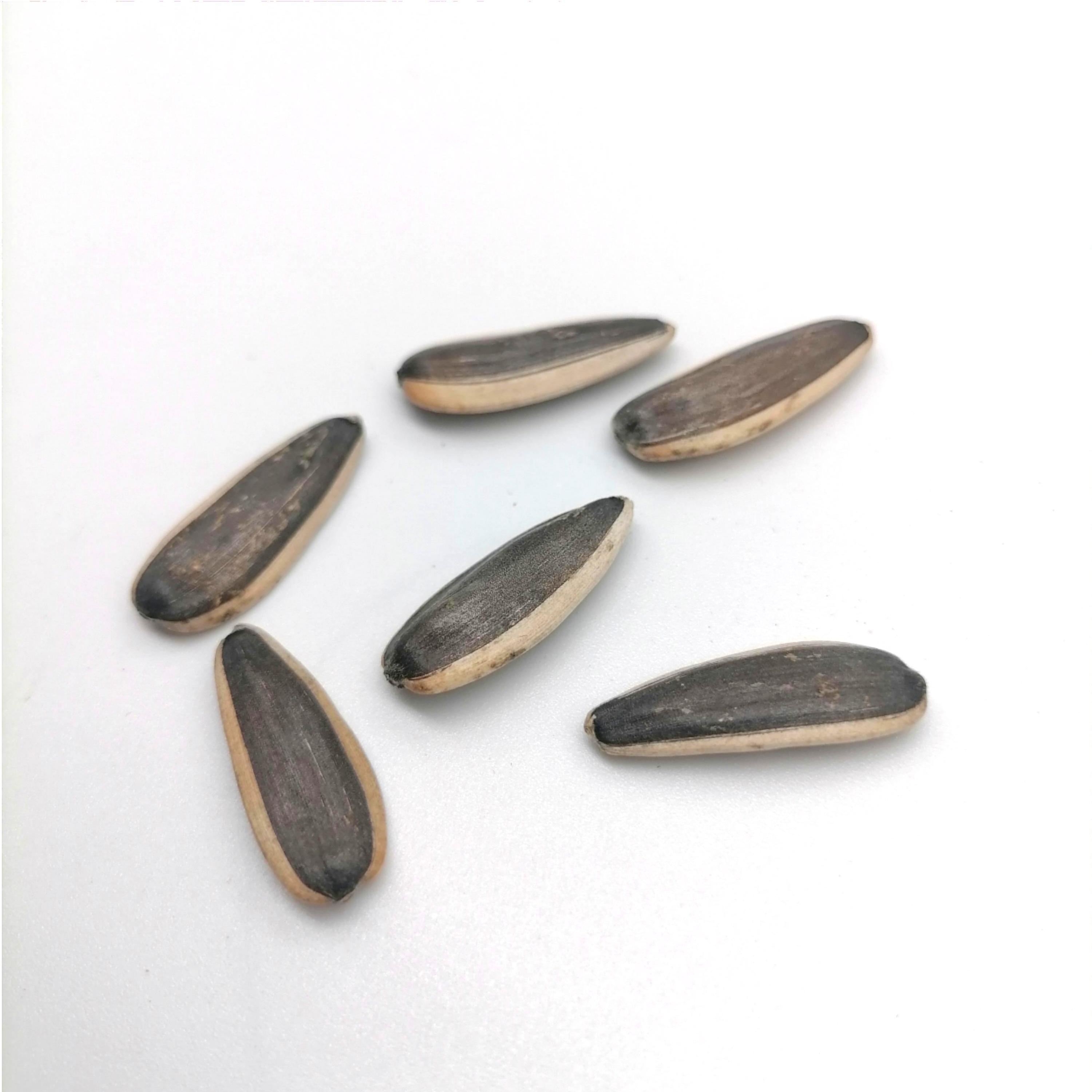 chinese sunflower seeds 363
