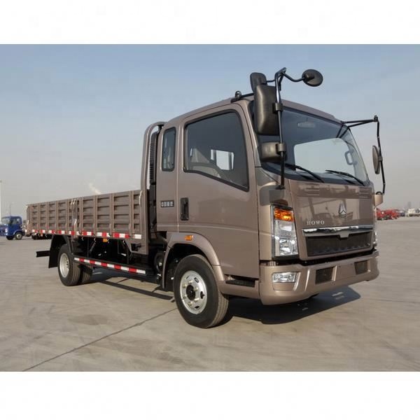 Китайский оригинальный грузовик Sinotruck HOWO 10 тонн 4x2 4x4 легкие грузовики цена для продажи