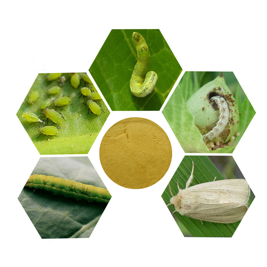 50000IU/mg TC биологический пестицид bacillus thuringiensis bestrijdingsmiddelen