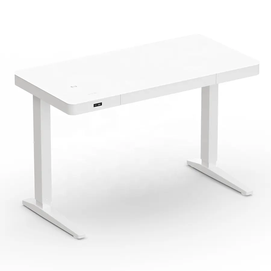 High-End Design Standing Desk Dual Motor Adjustable Office Desk Rising Height Adjustable Stand Up Electric Adjustable Desk