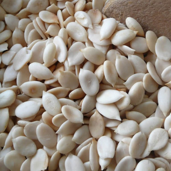 Water melon kernel at best Price discount