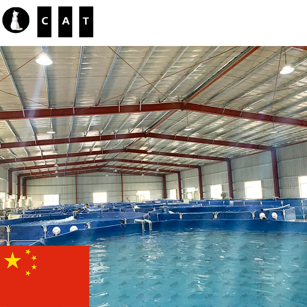 Kunming Project Indoor Fish Farm Aquaculture China Tilapia Fish farming Equipment